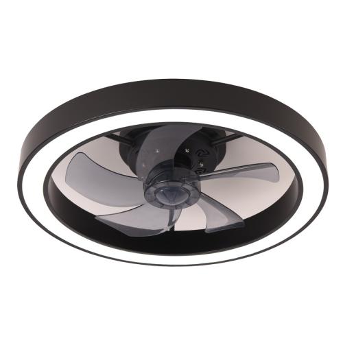 Brass & Iron & PC-Polycarbonate remote control Ceiling Fan Lamp PC