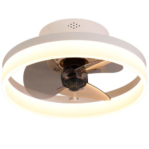 Brass & Acrylic & Iron remote control Ceiling Fan Lamp PC