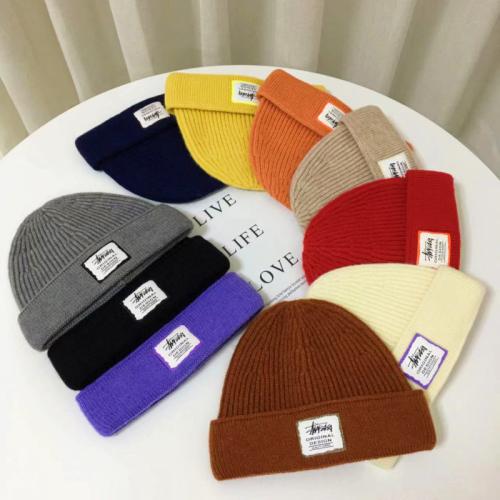 Fashion labeling wool hat winter warm knitted hat all-match melon hat cold hat