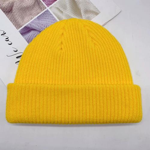 Autumn and Winter new large size wool hat warm all-match knitted hat couple ear protection hat