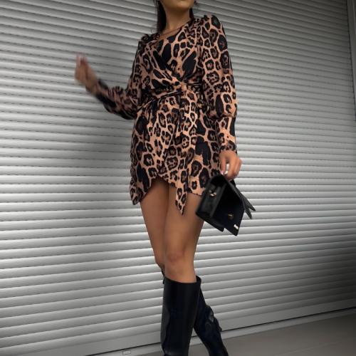 New Women's Sexy Leopard Print dress V-neck Long Sleeve Autumn and Winter