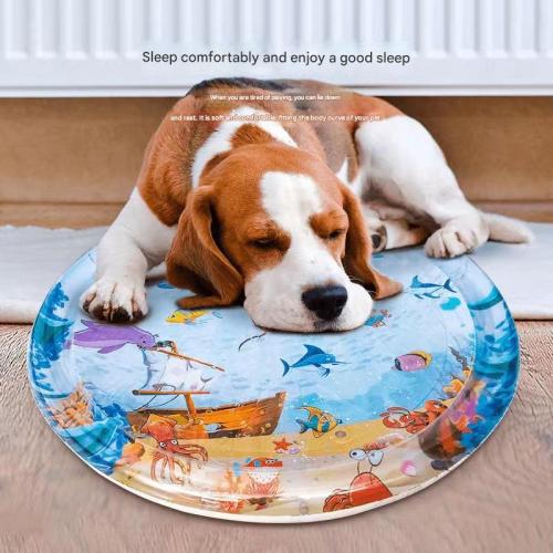 Plastové Pet Ledová podložka più colori per la scelta kus