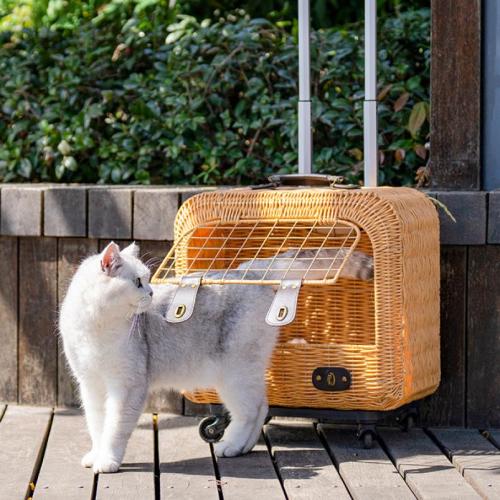 Kovové & Ratanový & Plyšové Kočárek pro domácí mazlíčky kus