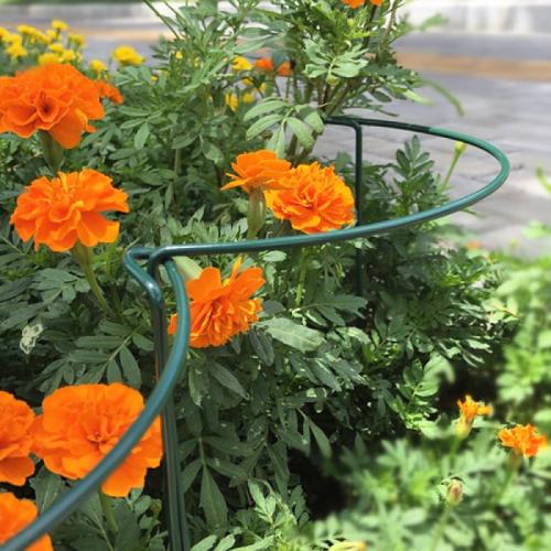 Iron Outdoor Flower Rack for home decoration & for Garden Iron painted green PC