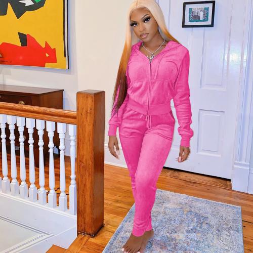 Polyester Ensemble occasionnel de femmes Pantalon & Retour au début plus de couleurs pour le choix pièce