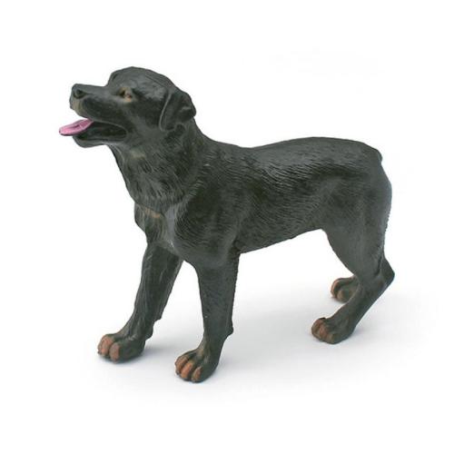 PVC Decoration for home decoration & durable & hardwearing PC