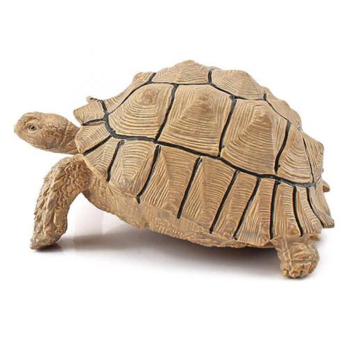 PVC Decoration for home decoration & durable & break proof PC