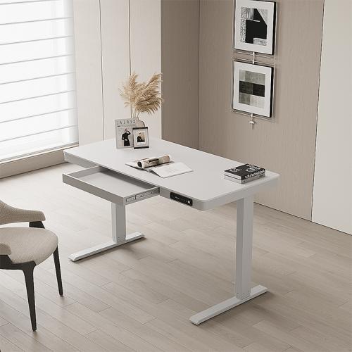 Electric Lifting Table with Drawer Computer Table Standing Work Desk