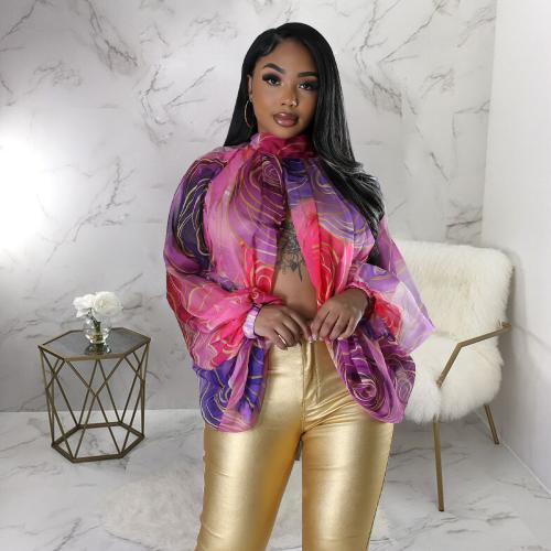 Poliestere Dámské halenky s dlouhým rukávem Stampato jiný vzor pro výběr più colori per la scelta kus