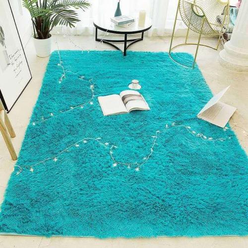 Plush Floor Mat & washable Solid PC