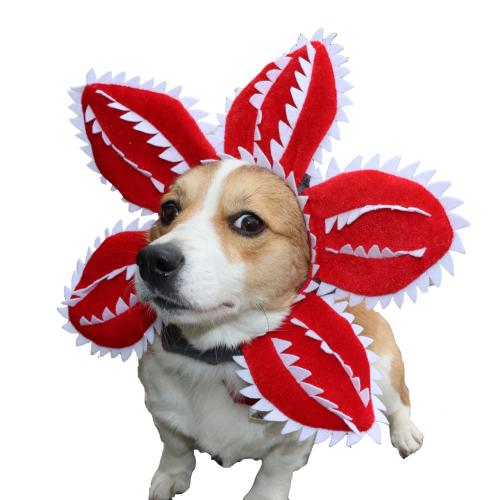 Polyester Pet Hat Halloween Design red PC