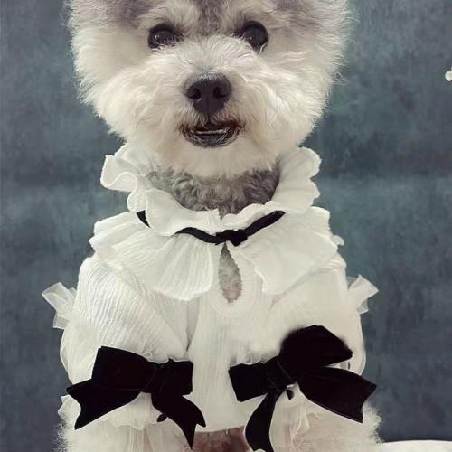Polyester Pet Dog Clothing & breathable white PC