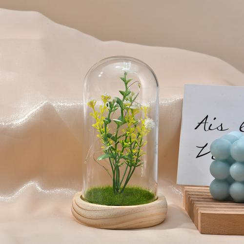 Pine & High borosilicate glass & Plastic Creative Preserved Flower Decoration for home decoration & for gift giving PC