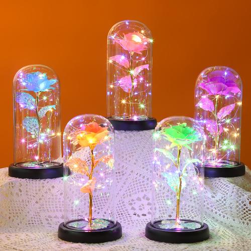 Acrylic & Plastic Creative Preserved Flower Decoration for home decoration PC