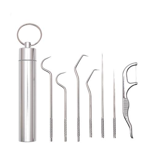 Rvs Dental Cleaning Kit Zilveren Instellen