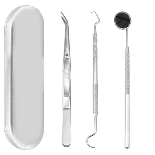 Rvs Dental Cleaning Kit Zilveren Instellen