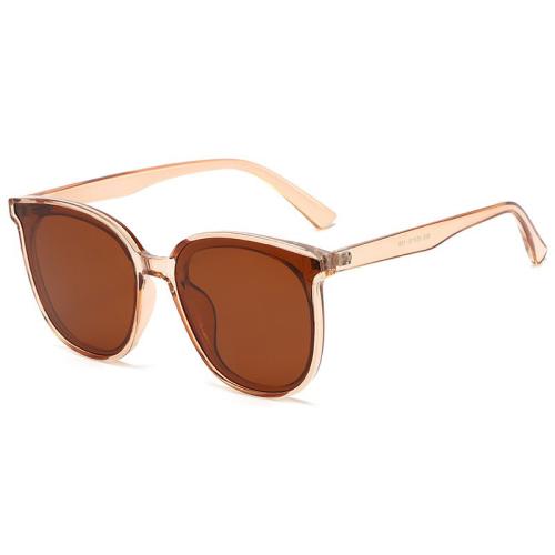 TAC & TR90 Sun Glasses anti ultraviolet & sun protection PC