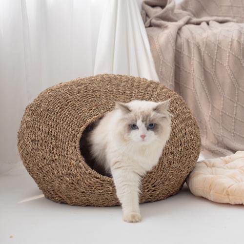 Paja Cama para mascotas, trozo