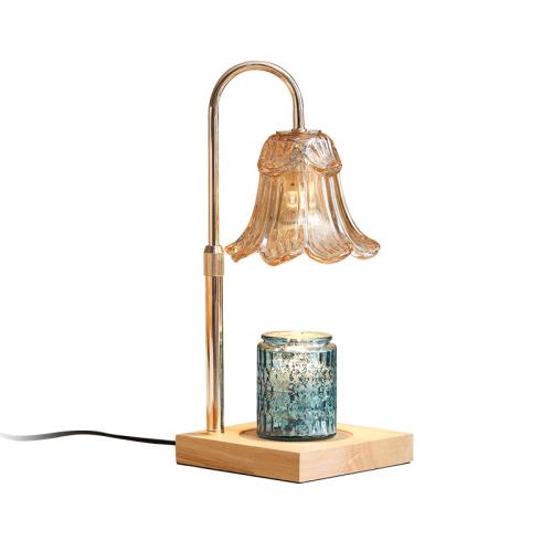 Glass & Wood & Iron adjustable light intensity Fragrance Lamps different power plug style for choose & durable PC