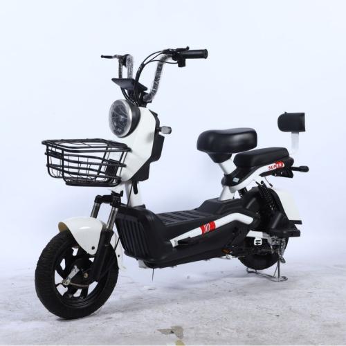 Iron Multifunction Electric Bicycle unisex PC
