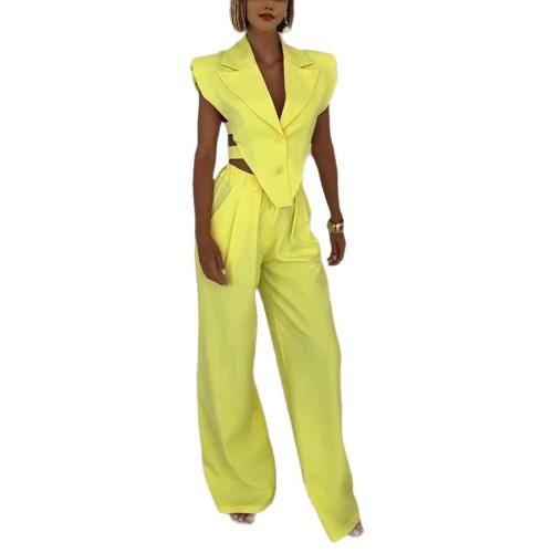 Spandex & Polyester Lady Sexy Anzug, Lange Hose & Weste, Patchwork, Solide, mehr Farben zur Auswahl, Festgelegt