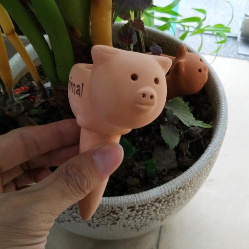 Porcelana Waterer de planta automático, trozo