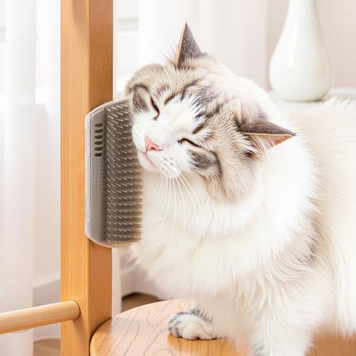 Polypropylene-PP Pet Grooming Brush PC