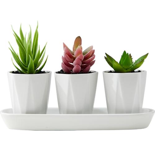 Porcelana Maceta, Sólido, más colores para elegir, Conjunto
