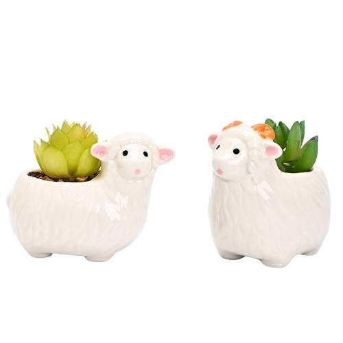 Porcelana Maceta, blanco, Conjunto
