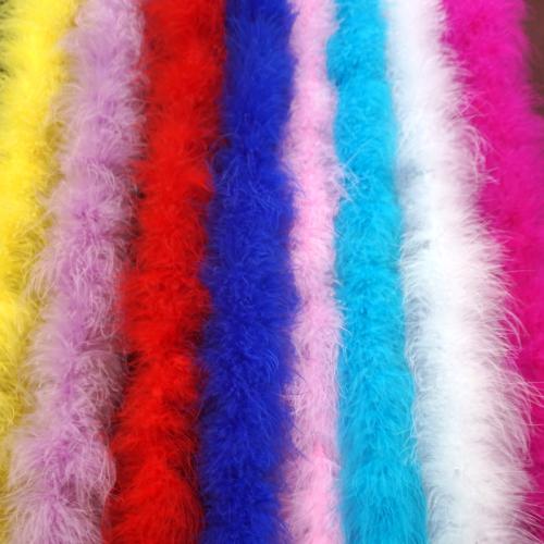 Feather Kleding ornament meer kleuren naar keuze Streng