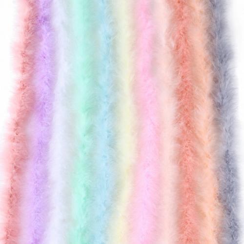 Feather Kleding ornament meer kleuren naar keuze Streng